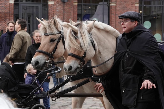 Vi køre også med enhjørninger ...