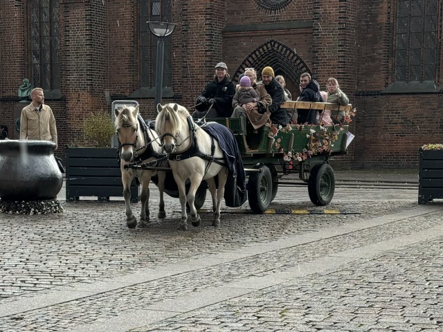 Vi køre også med enhjørninger ...