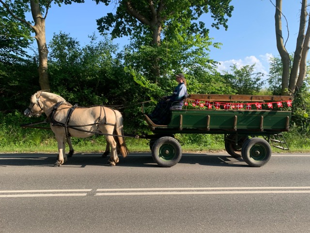 Fødselsdag kørsel i skovene ved ...