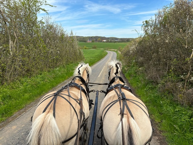 Skøn tur fra Faaborg til ...