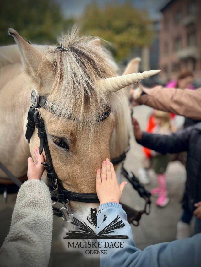 Vi køre også med enhjørninger ...