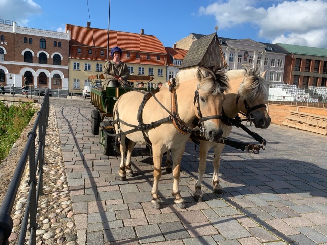 Kørsel med Fruevognen og turvognen ...