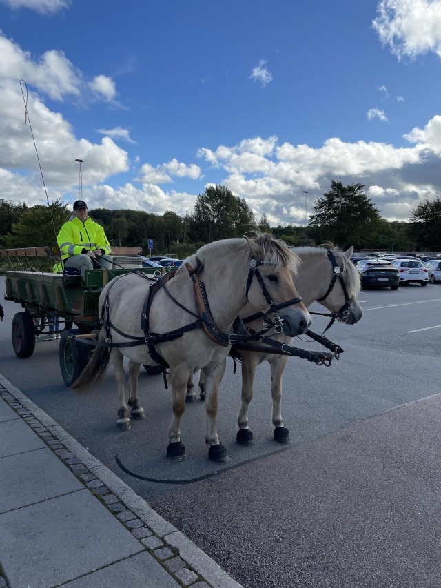 Rigtig hyggelig tur med dagplejen ...