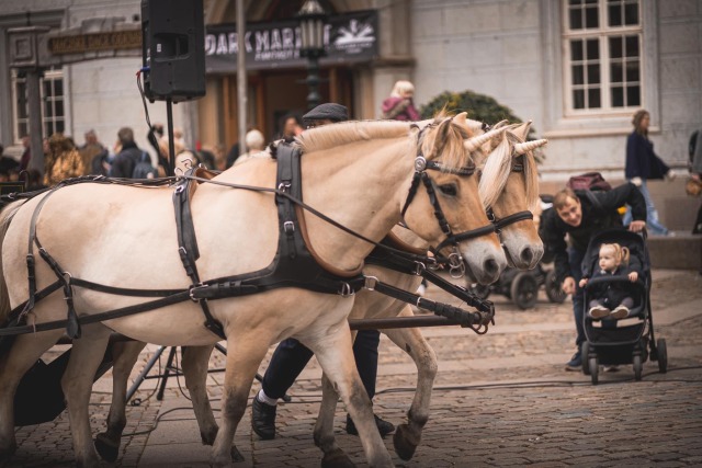 Vi køre også med enhjørninger ...