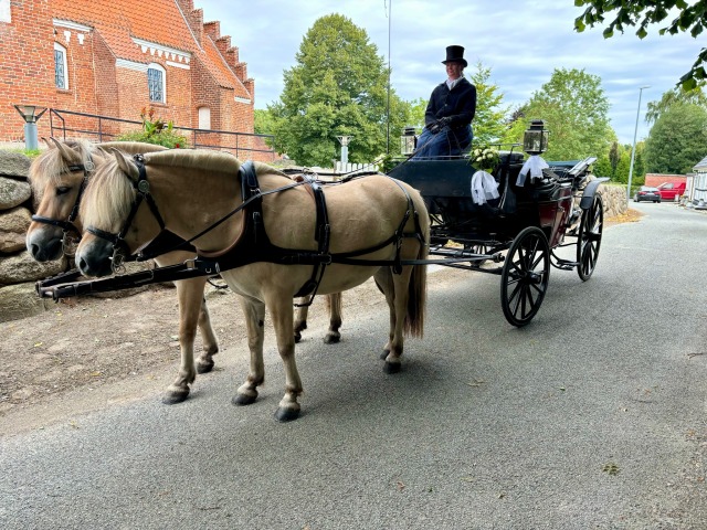 Skøn tur i langeskov  ...