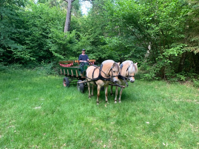 Fødselsdag kørsel i skovene ved ...