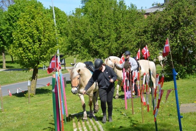 Til hyggestævne med agility flot ...