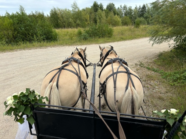 Skøn tur i langeskov  ...