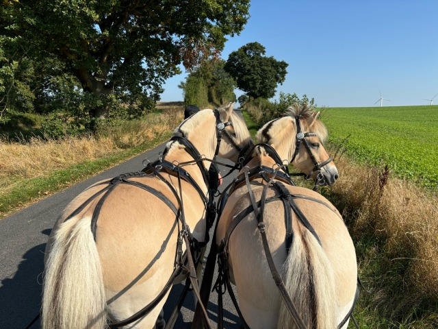 Skøn tur kirkekørsel i Egense ...