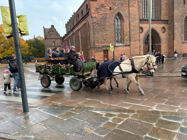 Vi køre også med enhjørninger ...