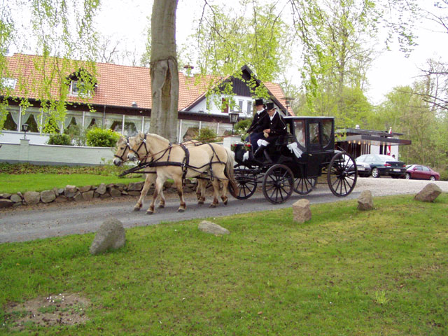 Bryllupskørsel i Odense med Cupe kareten