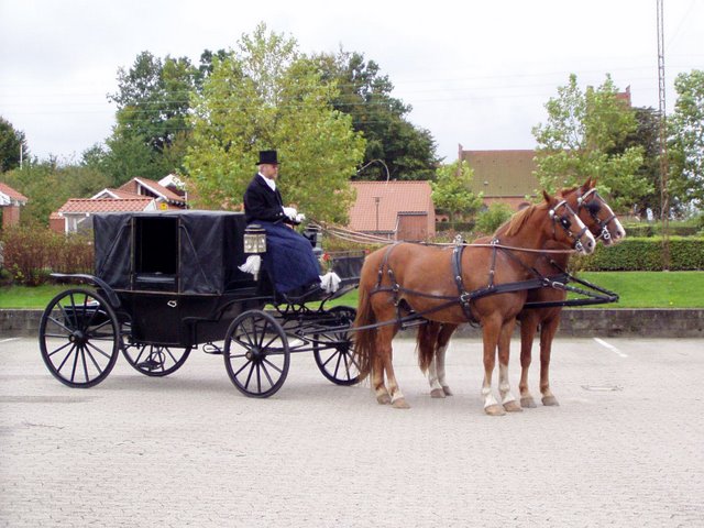 Hestevogns kørsel med Landauer karet